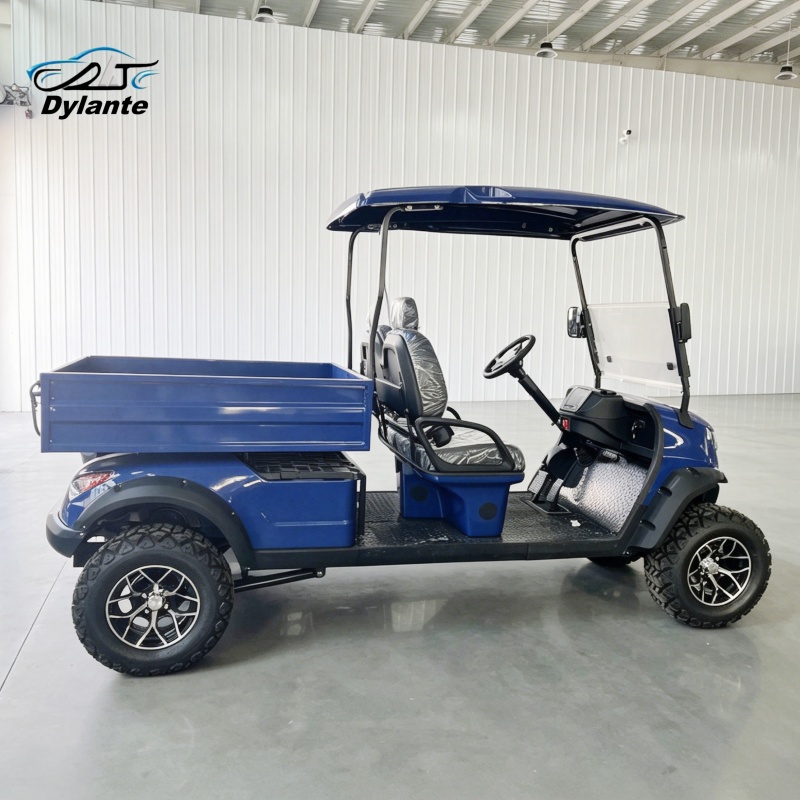 2-Seater Electric Utility Vehi - Urban Farming Or The review and price