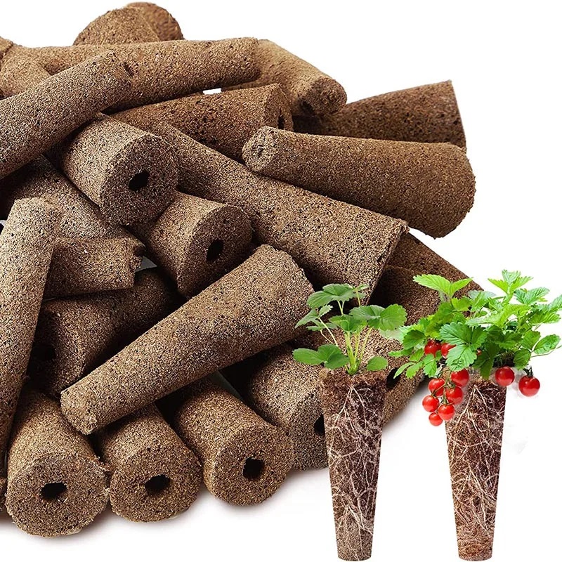 100Pcs Seed Grow Sponges Repla - Net Pot 3 Inch review and price
