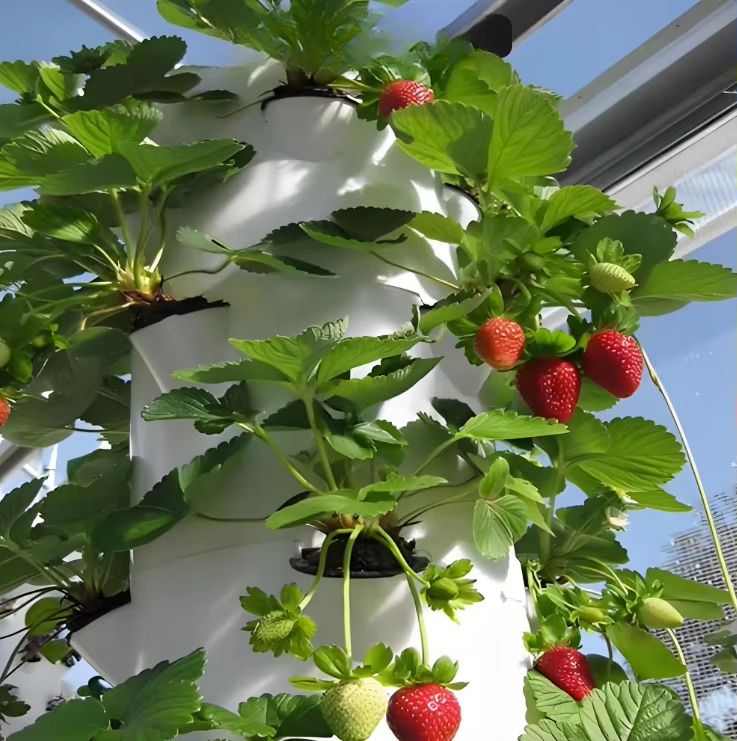 Modular hydroponic growth wall - Urban Farming Urban Gardening review and price