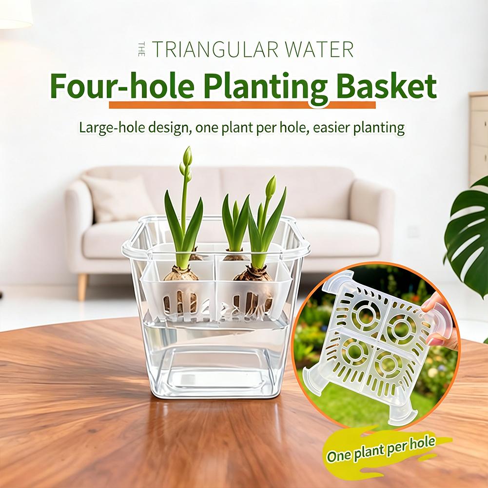 1pcs Hydroponic Planter Tulip  - Net Pot 3 Inch review and price