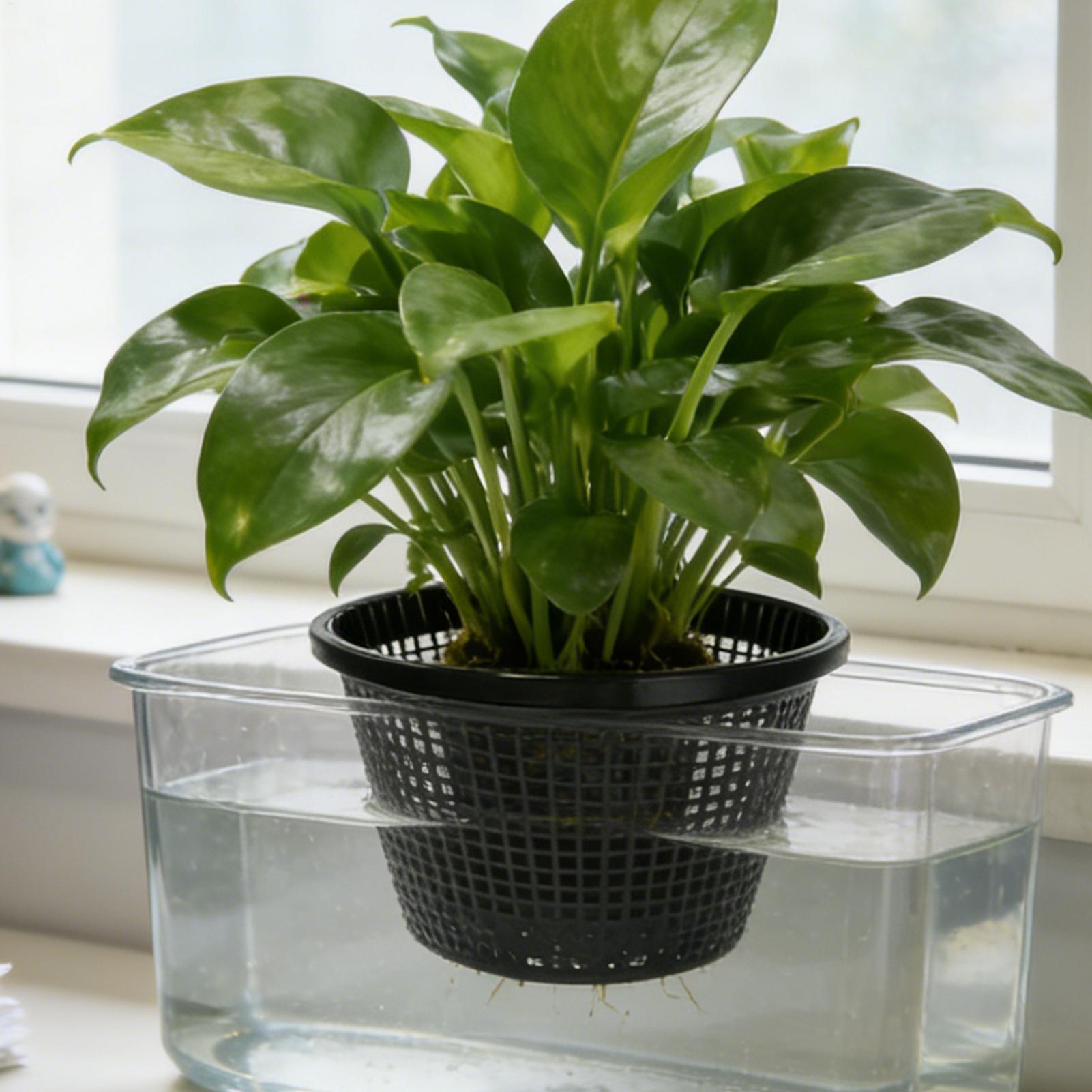 Net Pots 8.5 inch Reusable Wea - Net Pot 3 Inch review and price