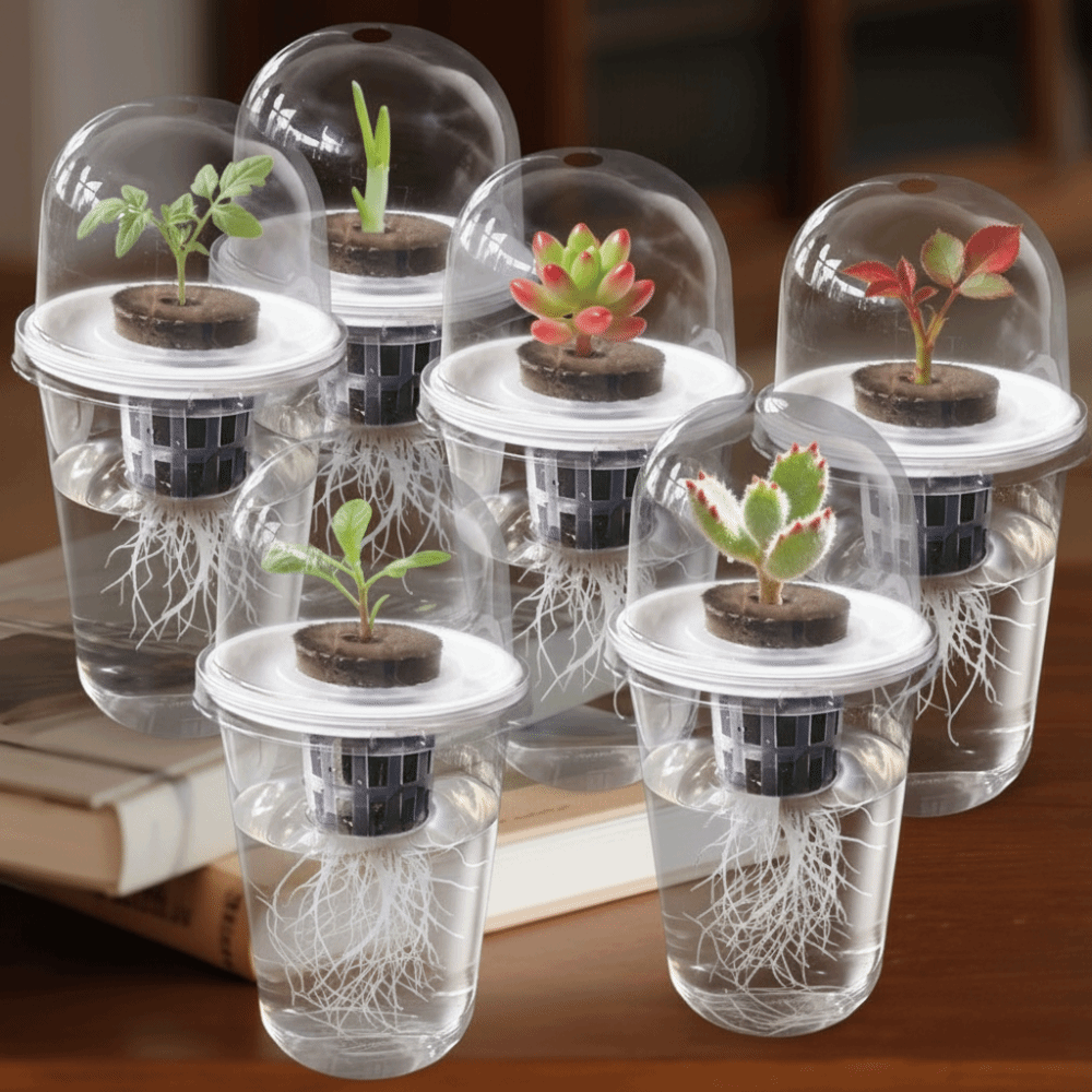 1-5pc Visible Clear Plants Ger - Net Pot 3 Inch review and price
