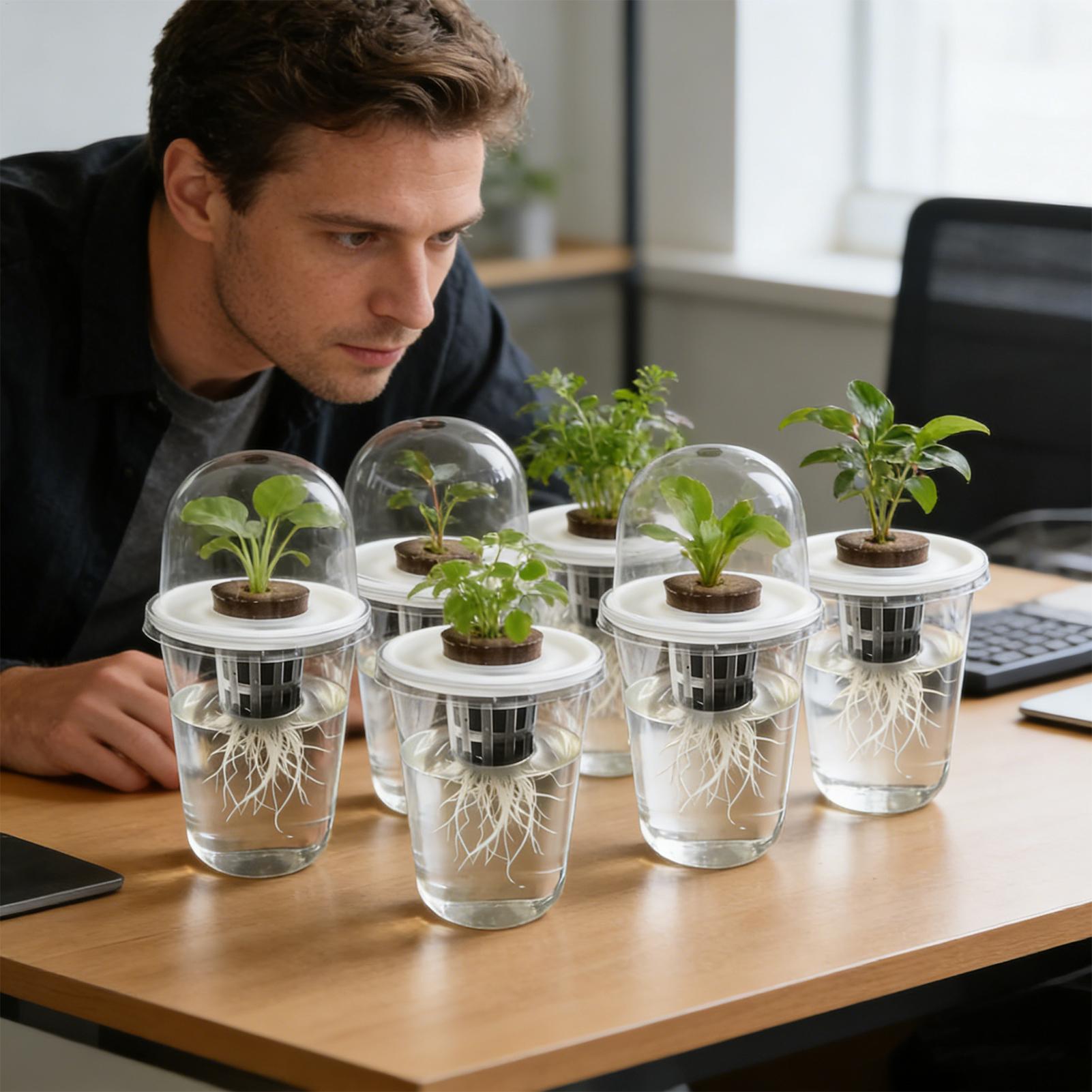 1-5pc Visible Clear Plants Ger - Net Pot 3 Inch review and price