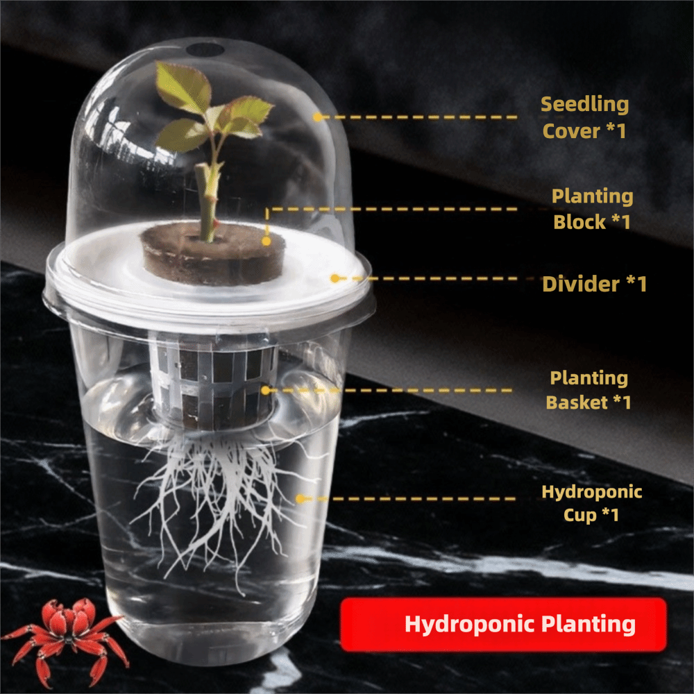 1-5pc Visible Clear Plants Ger - Net Pot 3 Inch review and price