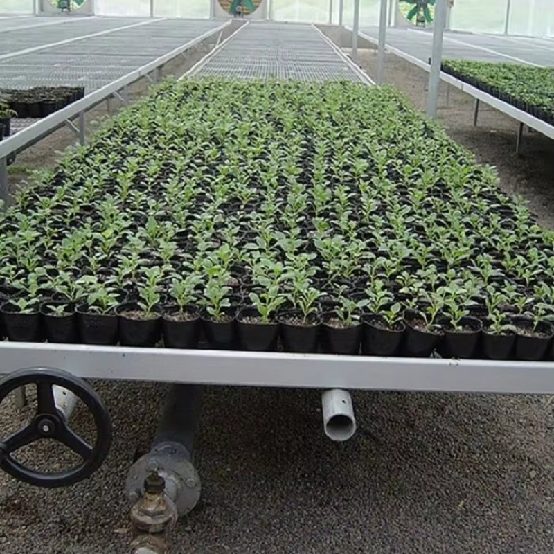 Movable Propagation Flood and  - Flood Tray Table review and price