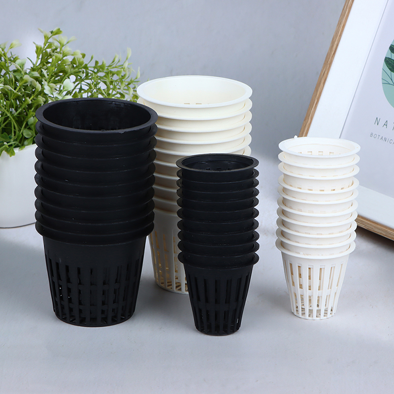 10Pcs 2 /3 Inch Grow Orchids H - Net Pot 3 Inch review and price