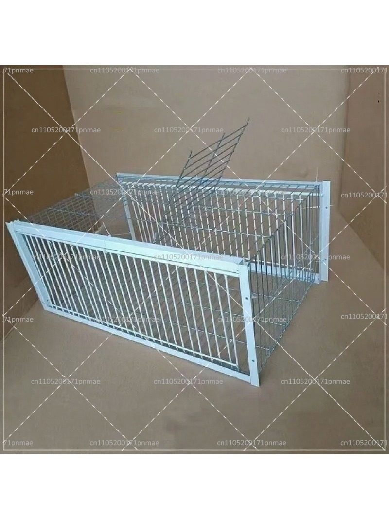 Professional Multifunctional B - Urban Farming Urban Gardening review and price